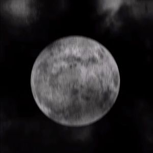 Meet your Posher, Sophie